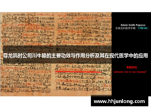 尊龙凯时公司川牛膝的主要功效与作用分析及其在现代医学中的应用