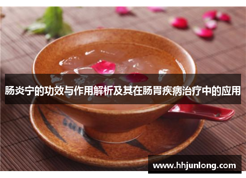 肠炎宁的功效与作用解析及其在肠胃疾病治疗中的应用