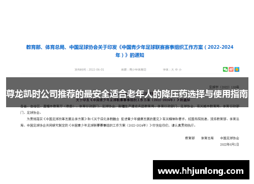 尊龙凯时公司推荐的最安全适合老年人的降压药选择与使用指南