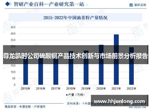 尊龙凯时公司硫酸铜产品技术创新与市场前景分析报告